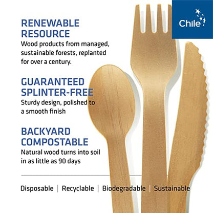 Bamboo Spoons 100 Pack 6.5in Compostable Cutlery