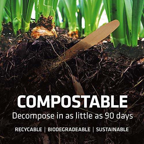 Cutlery Set 100 Spoons 6.5in Compostable Bamboo