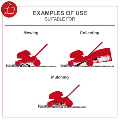 Self-Propelled Petrol Lawn Mower 42cm 131cc 45L Grass Box Red Black
