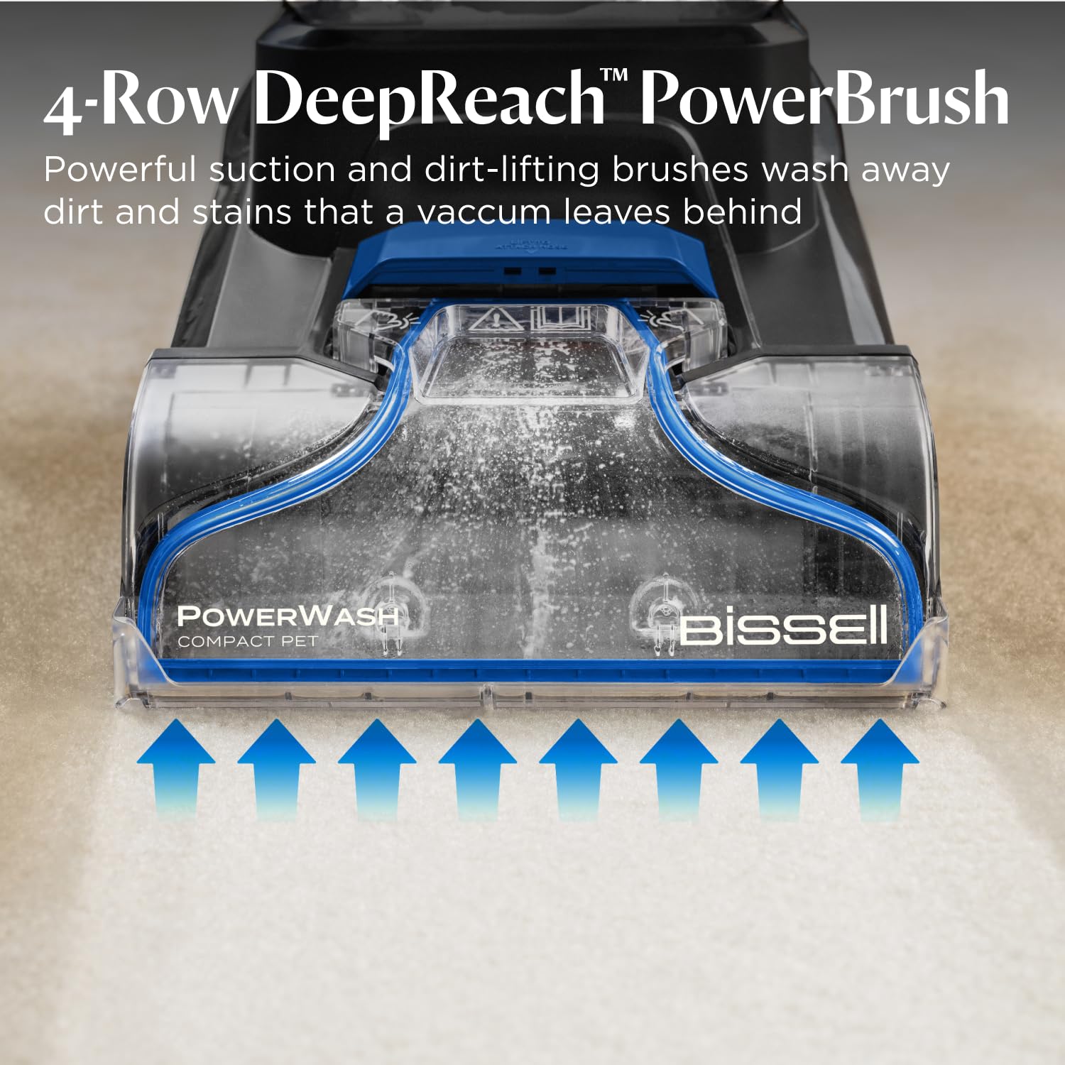Compact Carpet Cleaner 600W 0.5L Detachable Hose Blue