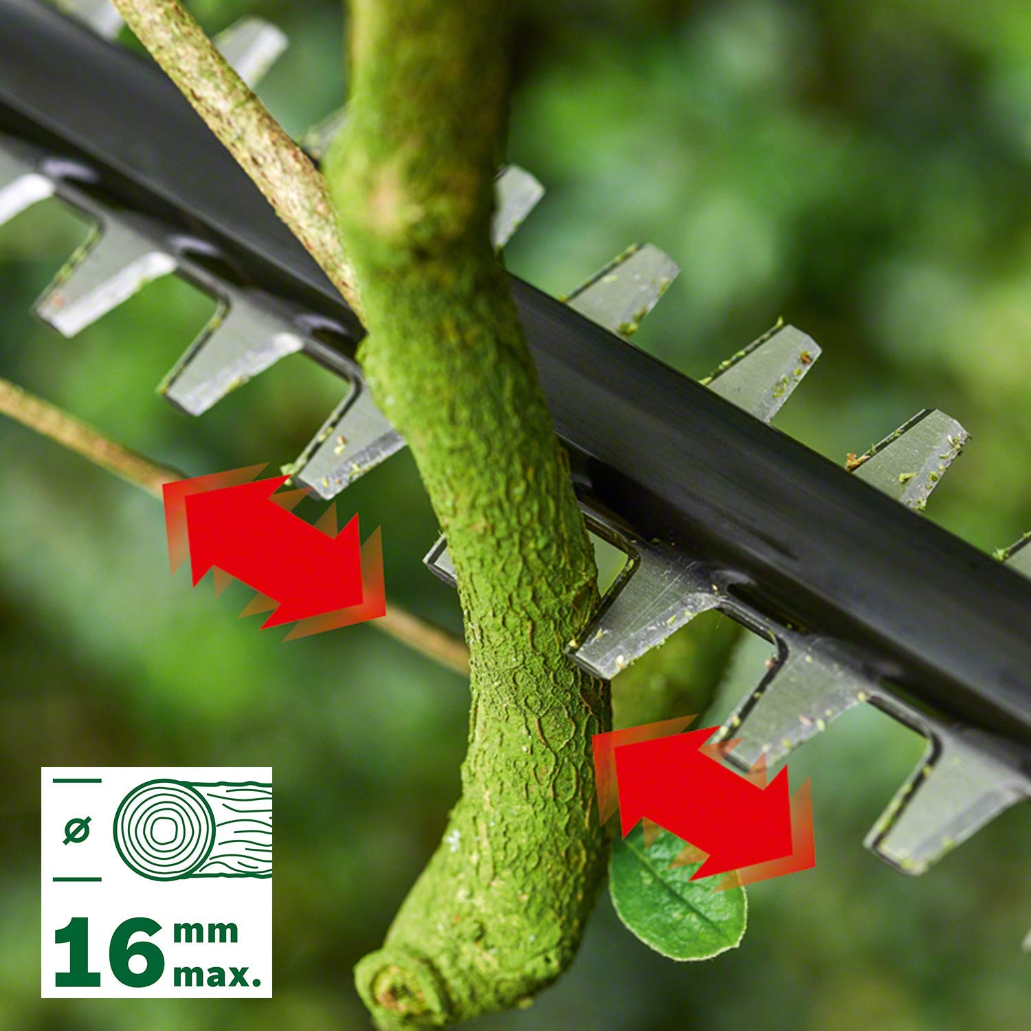 Telescopic Hedge Trimmer 18V Cordless 135° Pivoting Head Green