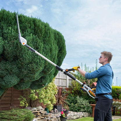 Cordless Pole Hedge Trimmer 193-244Cm 20V 2 Batteries Harness Grey