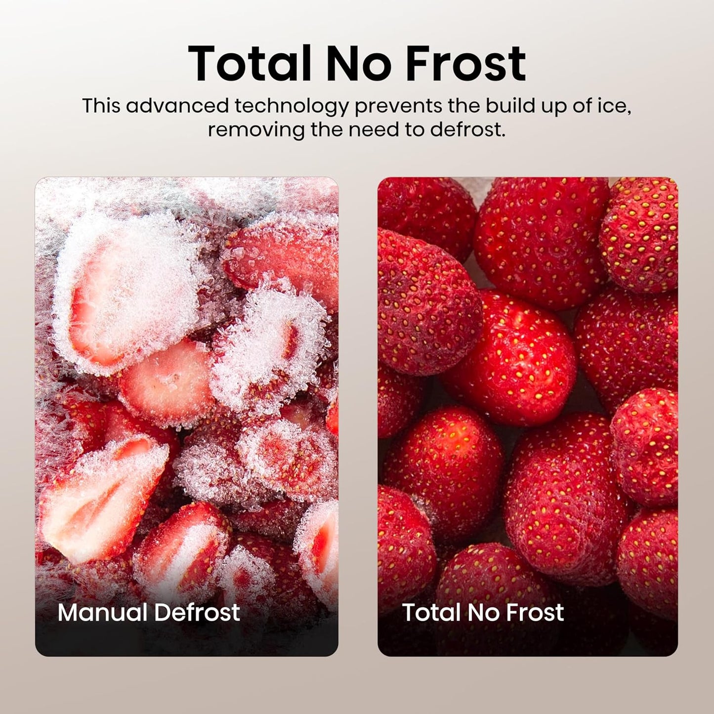 Freestanding Fridge Freezer 256L 50/50 Frost Free White