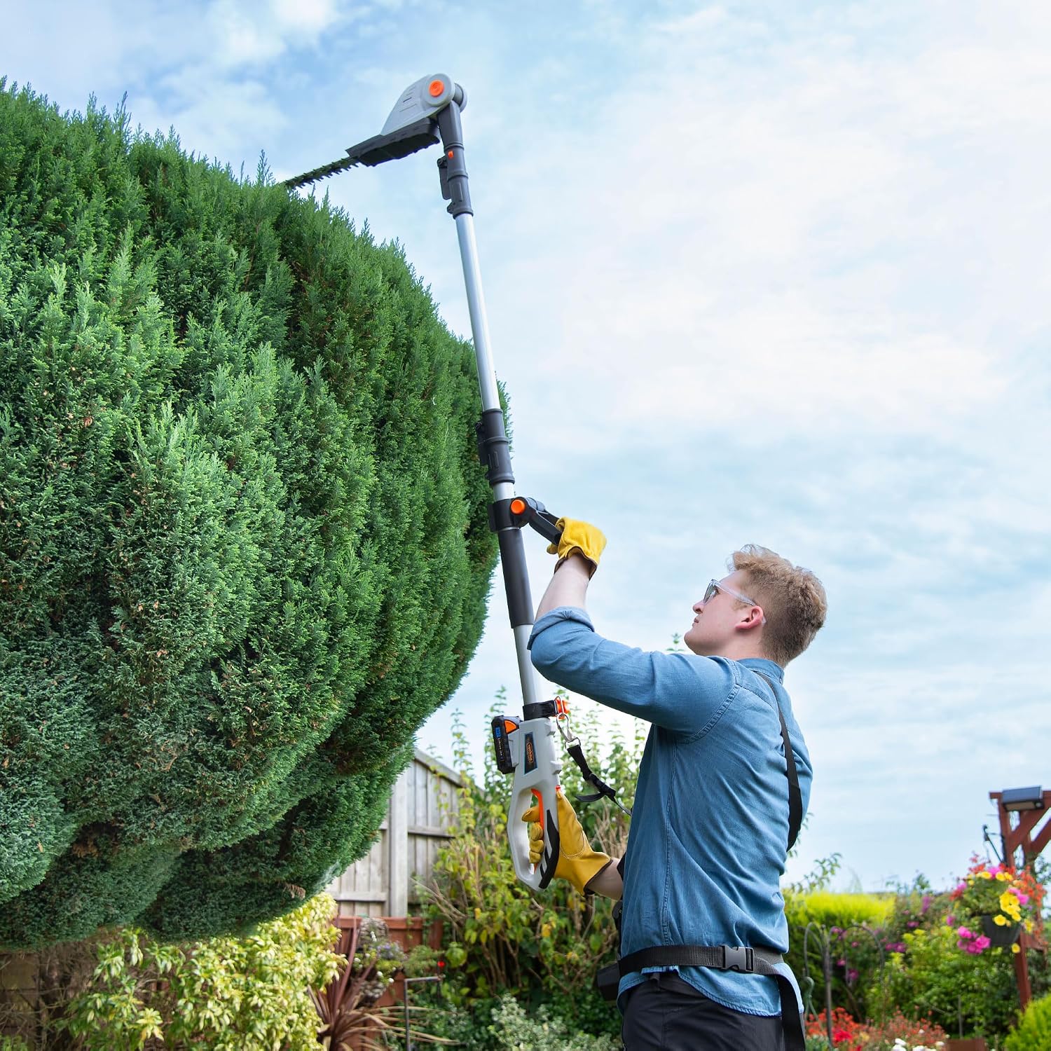 Cordless Pole Hedge Trimmer 193-244Cm 20V 2 Batteries Harness Grey