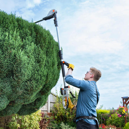 Cordless Pole Hedge Trimmer 193-244Cm 20V 2 Batteries Harness Grey