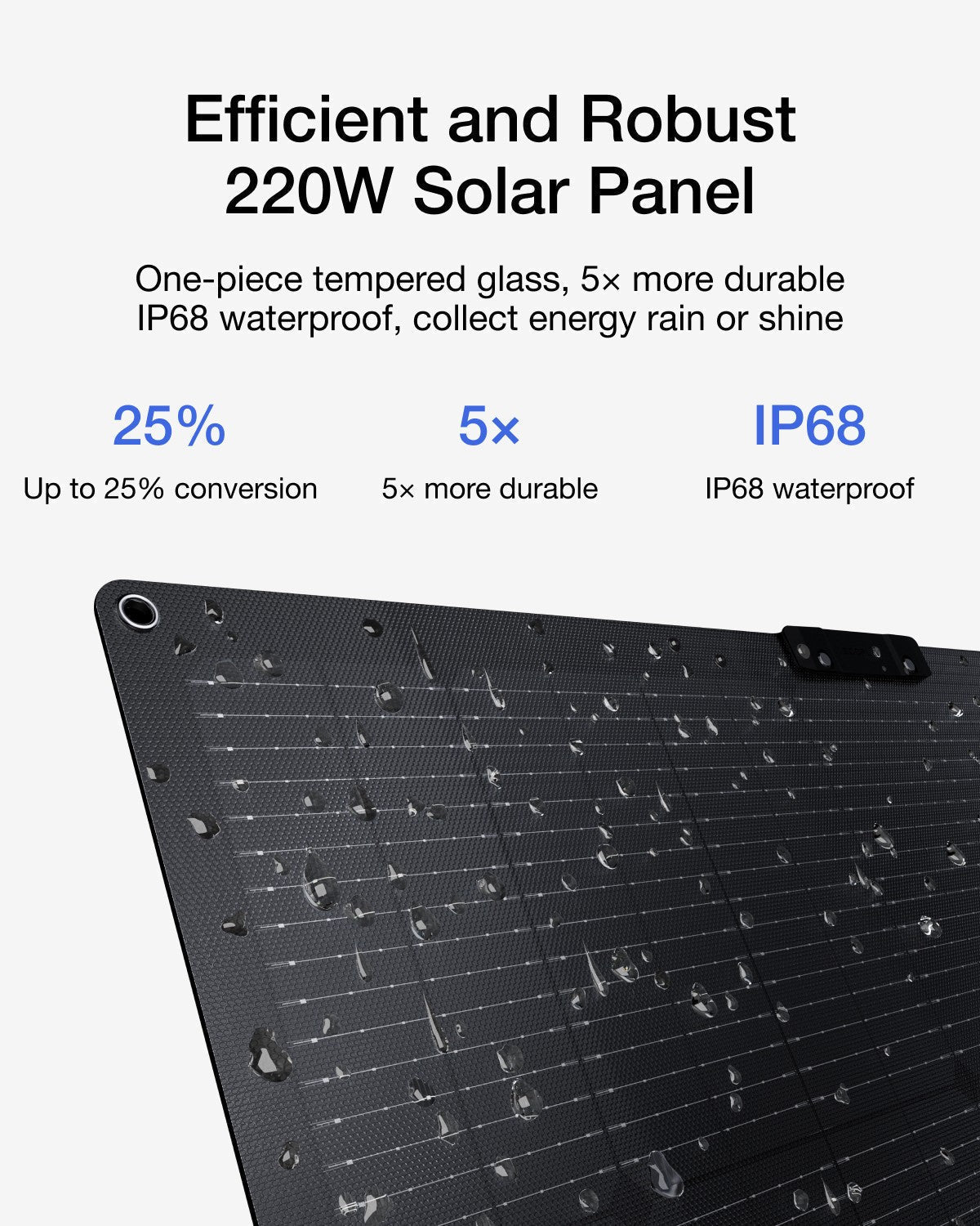 ECOFLOW DELTA 2 LiFePO4 Power Station 2400W Max with 220W Portable Solar Panel