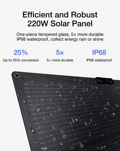 ECOFLOW DELTA 2 LiFePO4 Power Station 2400W Max with 220W Portable Solar Panel
